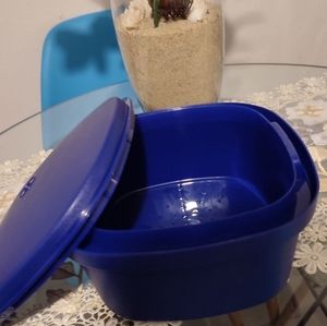 Tupperware $15 price firm